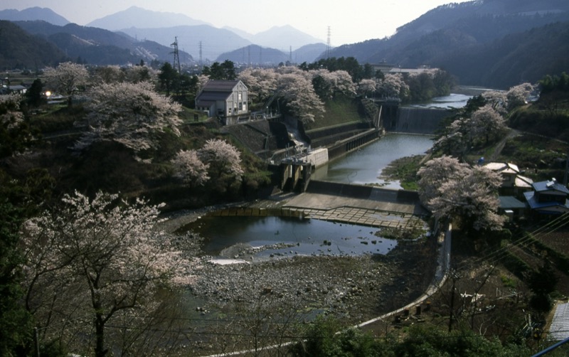 高川山